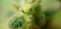 20191009_235000.jpg
