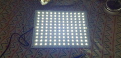 20191024_132641.jpg