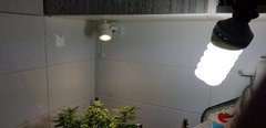 20191127_230038.jpg