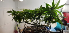 20191127_233633.jpg