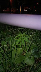 20191203_172629.jpg