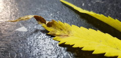 20191204_202726.jpg