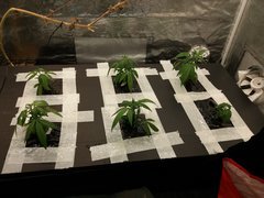 20191207_092806.jpg