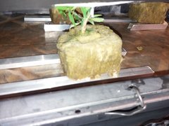 20191207_092818.jpg