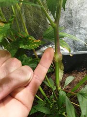 20191207_201451.jpg