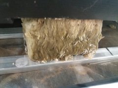 20191210_085421.jpg