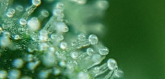 20191212_160434.jpg