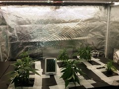20191214_065033.jpg