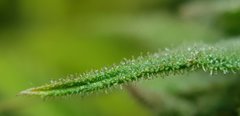 20191220_185139.jpg