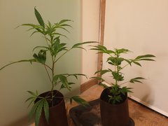 20191221_005247.jpg