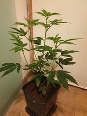 20191221_005314.jpg