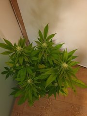 20191221_005415.jpg