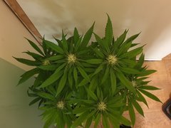 20191221_005508.jpg