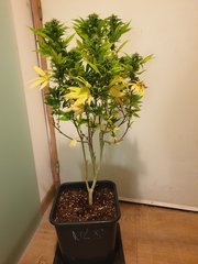 20191221_005736.jpg