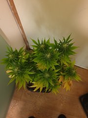 20191221_005743.jpg
