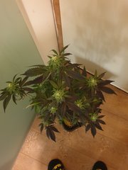 20191221_005939.jpg
