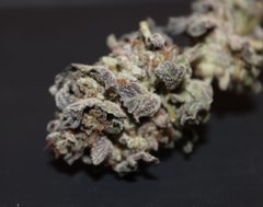 Royale cookies (RQS)