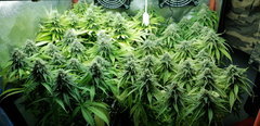 20191226_191259.jpg