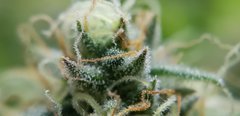 20191226_192048.jpg