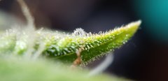 20191226_193857.jpg