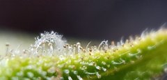 20191226_193909.jpg