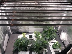 20191227_091914.jpg