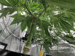 IMG_1169.JPG