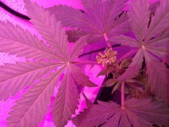 IMG_20180412_094101.jpg