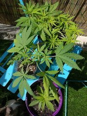 IMG_20180417_130012.jpg