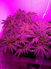 IMG_20180502_013847.jpg