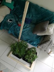 IMG_20180502_151608.jpg