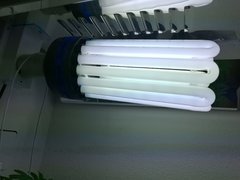 IMG_20180503_003330.jpg