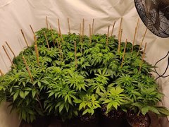 IMG_20191205_195737.jpg