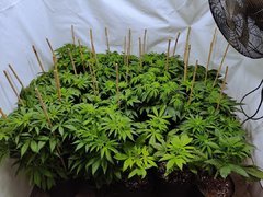 IMG_20191205_195737__01.jpg