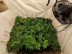IMG_20191205_195754.jpg