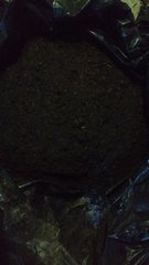 IMG_20191225_091323015_cleaned.jpg