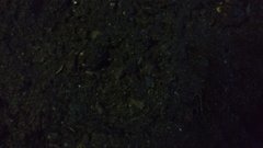 IMG_20191225_091330844_cleaned.jpg