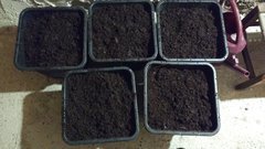 IMG_20191225_163514751_cleaned.jpg