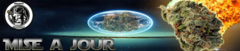 misaj1.png