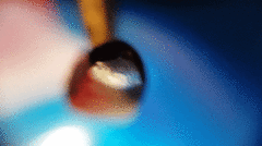 received_294009517927427_1.gif