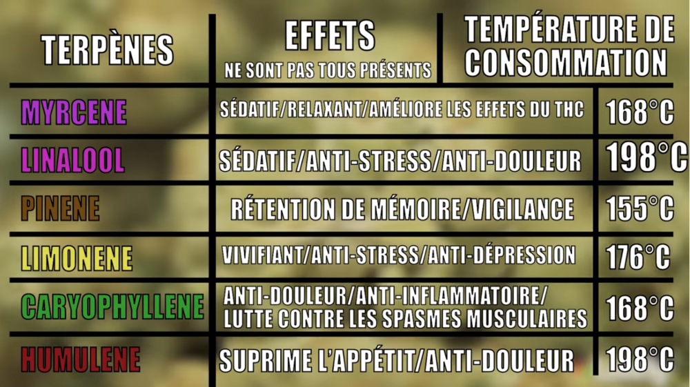 tableau.thumb.png.4a070c1f6e315266e4c27be6786fb1b6.png