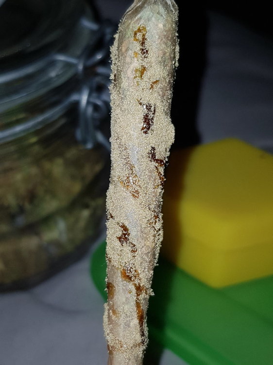 20191108_210529.jpg