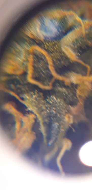 20200126_175849.jpg