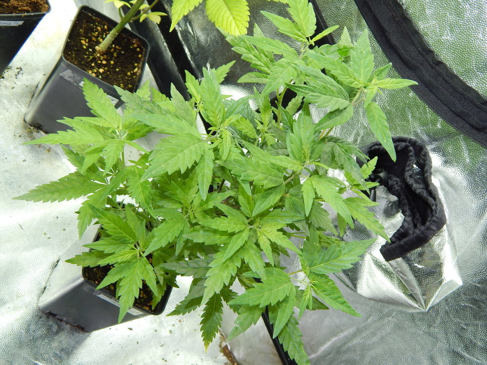 DSCN5655.JPG