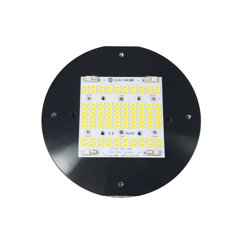 LIT-QC-XXK-1006_2.jpg