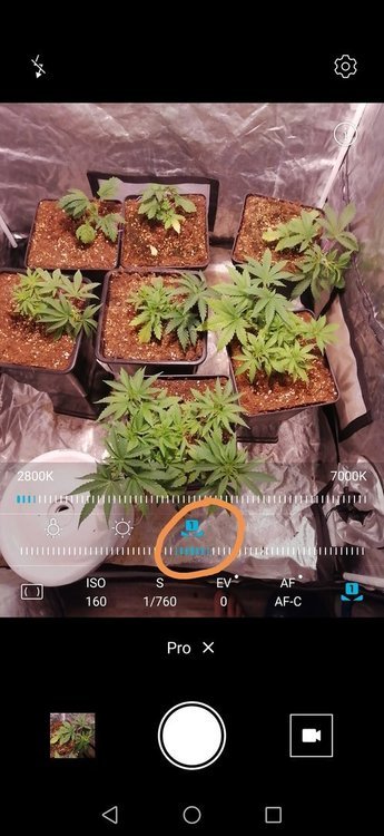 Screenshot_20200108_172016.thumb.jpg.7885fbd97b6237250b915d140db1275e.jpg