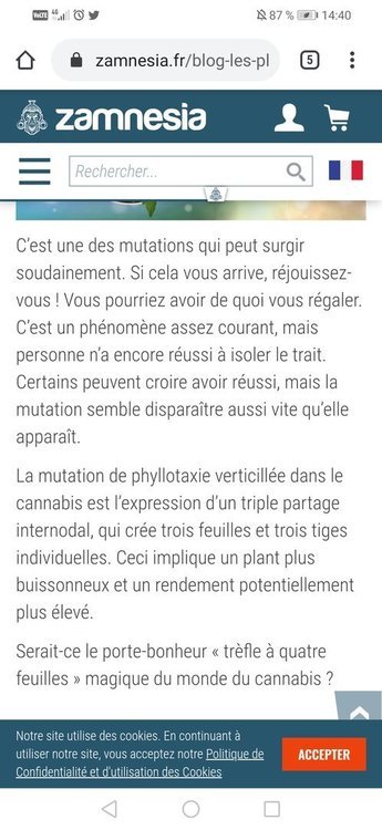 Screenshot_20200116_144014_com.android.chrome.thumb.jpg.c6eab769a0736d5e874fcf7dadc9a769.jpg