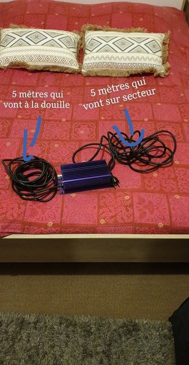 Snapchat-1452574328.thumb.jpg.27593871f06c5edab1a7c7927c9b4b46.jpg