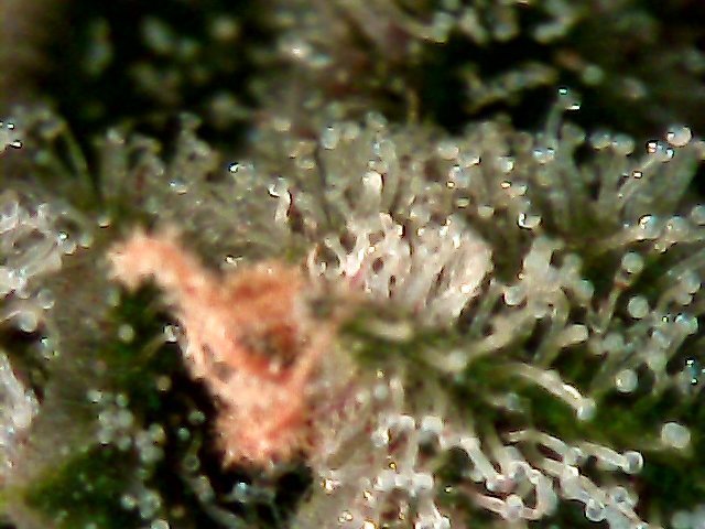 StillSnapshot000000.jpg.2c314930c18b207d75744369330c3426.jpg