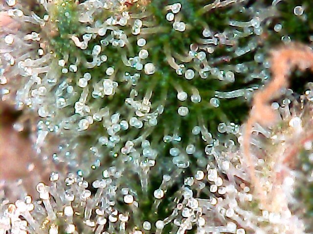 StillSnapshot000003.jpg.d54a1af311ff0f8ee25d90145052fe47.jpg